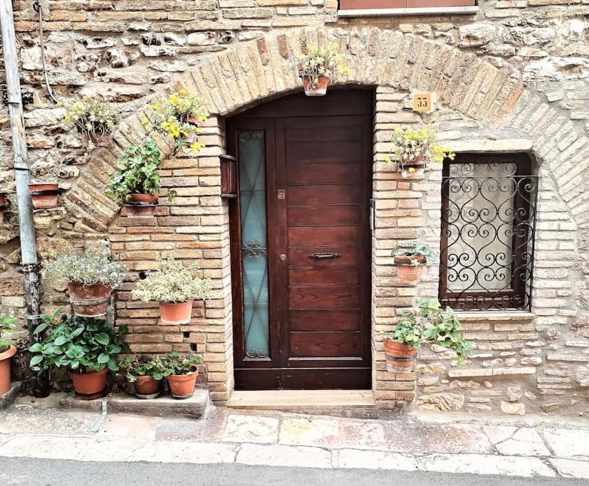 Appartamento Nonna Milde Assisi Bagian luar foto