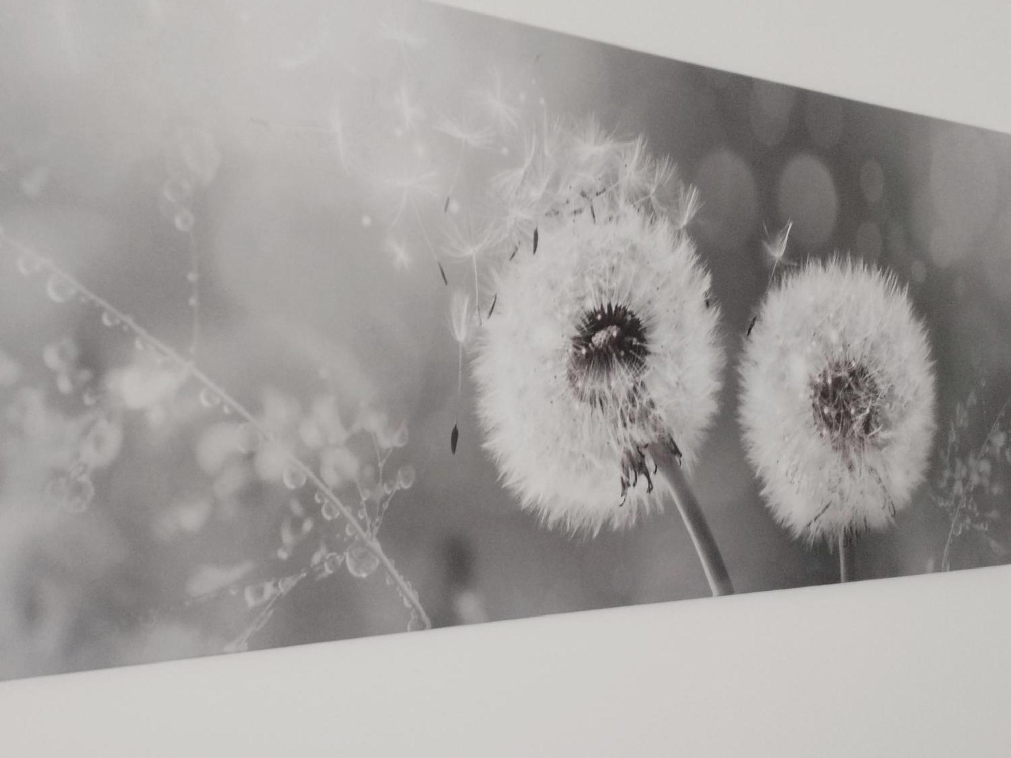 Appartamento Nonna Milde Assisi Bagian luar foto